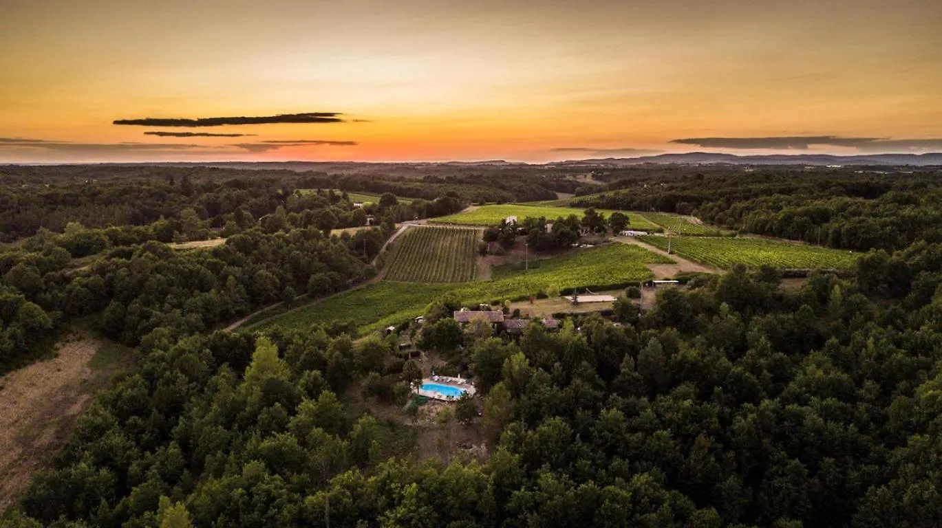 Casa de Férias Les Hauts De Jeanvert - Gite 80M2 - Piscine - Gaillac França